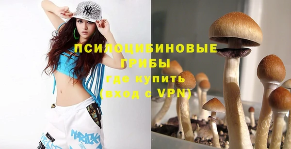 ПСИЛОЦИБИНОВЫЕ ГРИБЫ Гусь-Хрустальный