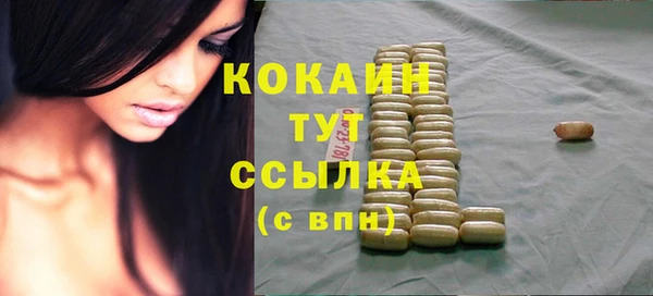 ПСИЛОЦИБИНОВЫЕ ГРИБЫ Гусь-Хрустальный