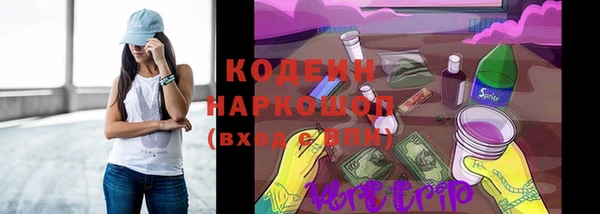 амф Гусев