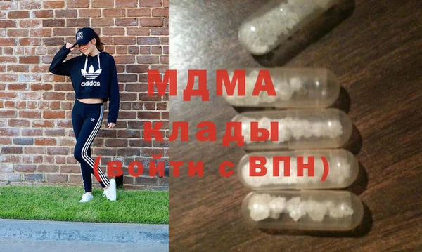 амф Гусев