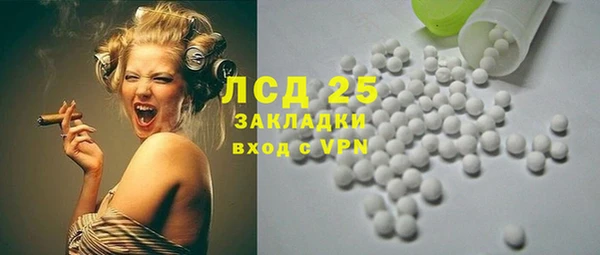 ПСИЛОЦИБИНОВЫЕ ГРИБЫ Гусь-Хрустальный