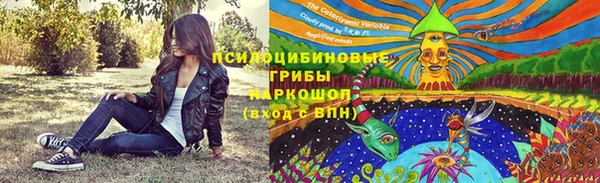амф Гусев