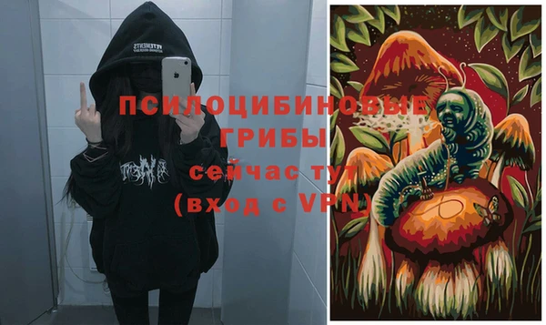 MESCALINE Гусиноозёрск