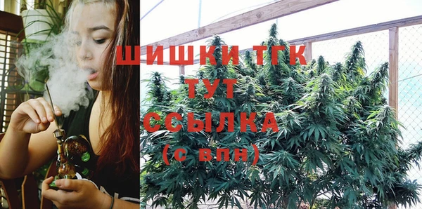 эйфоретик Горняк
