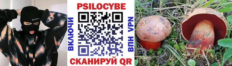 Купить где  Елизаветинская  Галлюциногенные грибы прущие грибы 